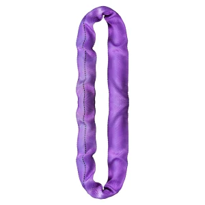 EN1492-2 1T~20T Industrial Grade Heavy Duty Polyester Circular Webbing Sling 1-20T Optional Special Lifting Sling
